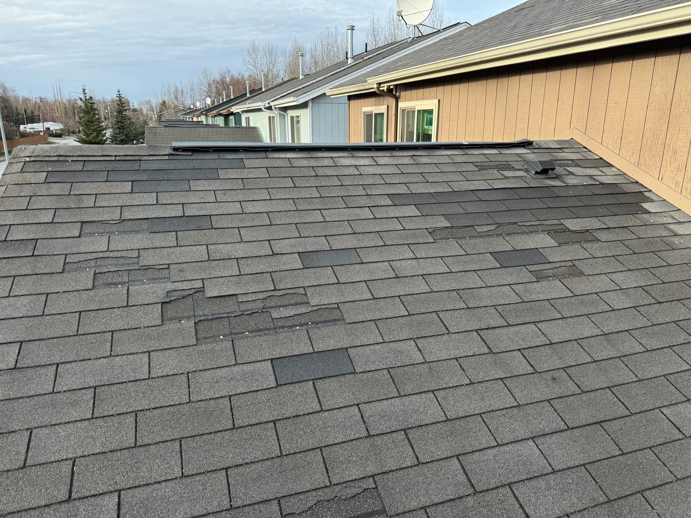Widespread wind-lifted and displaced shingles on an Anchorage roof after a storm