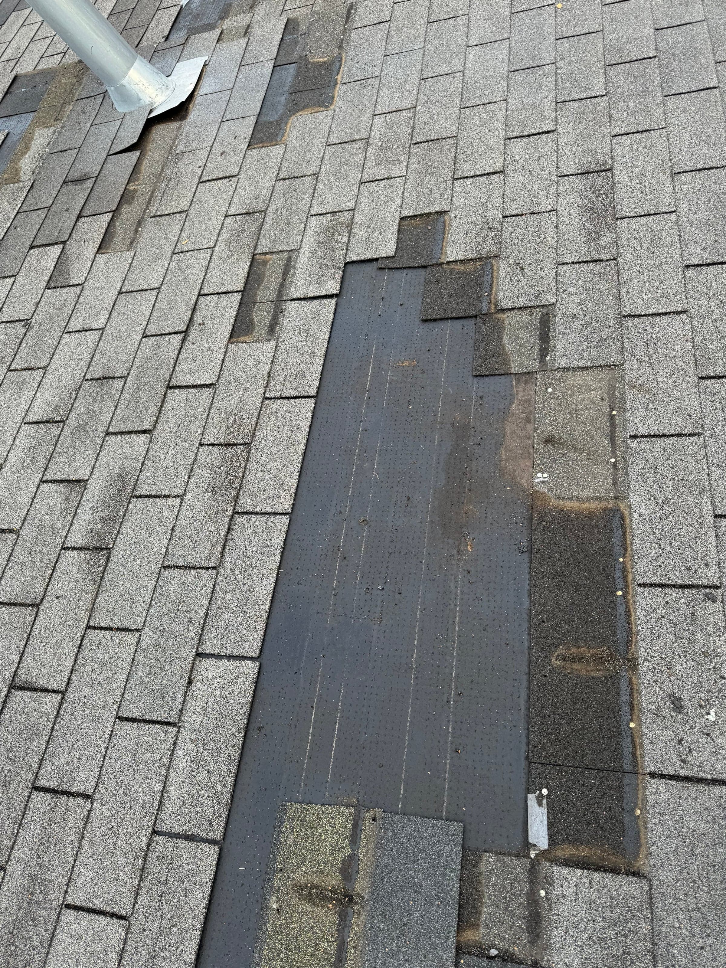 Missing shingle tabs on an Anchorage roof exposing the underlayment beneath